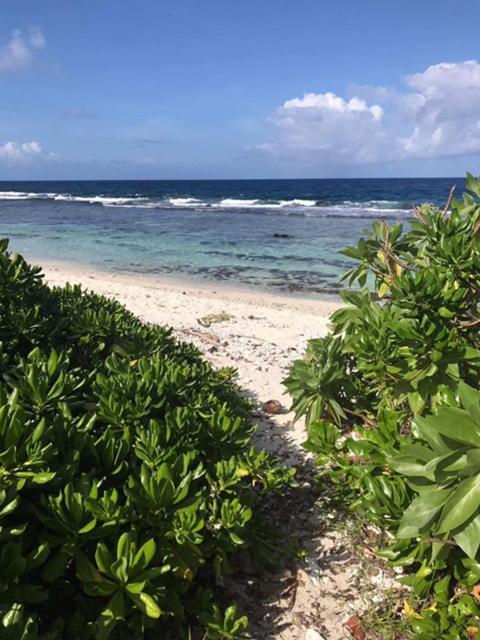 Moorea Temae Villa Walking Dist Beach And Golf Eksteriør billede